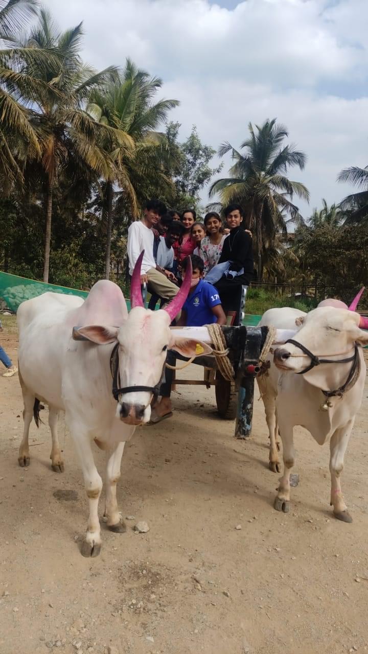 Charan's Degree College Bangalore Extra Curriculars photo 24